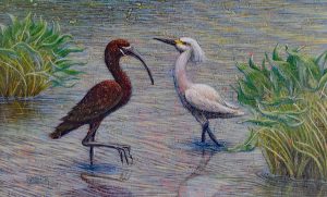 Ibis and Egret