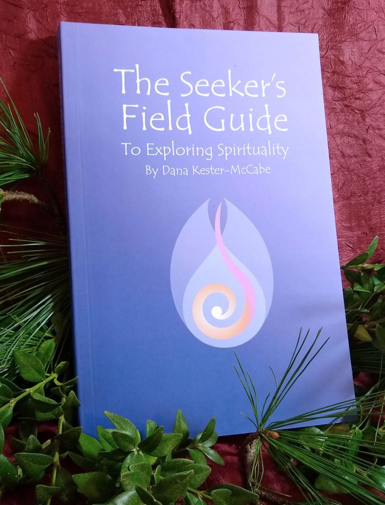 The Seeker's Field Guide